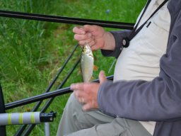 Competities HSV Alfheim